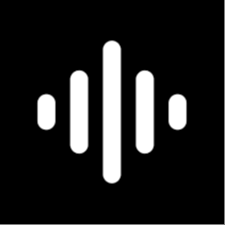 Soundly logo